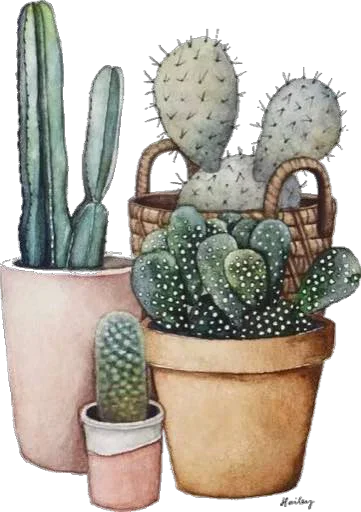 Green Cactus emoji 🥳