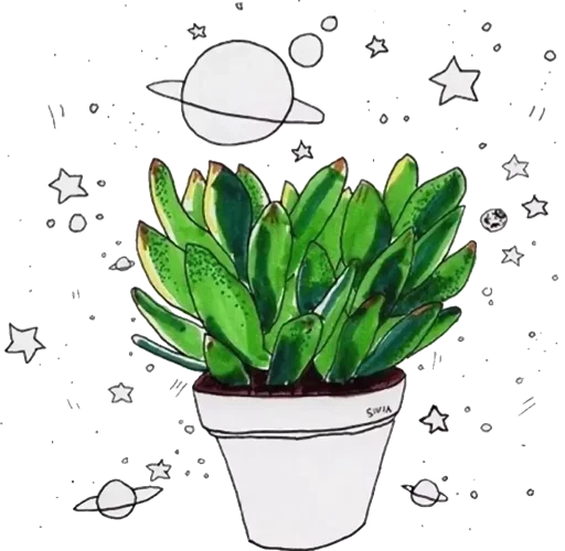 Эмодзи Green Cactus 🥳