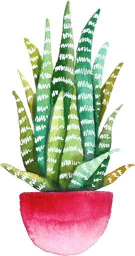 Эмодзи Green Cactus 🤨
