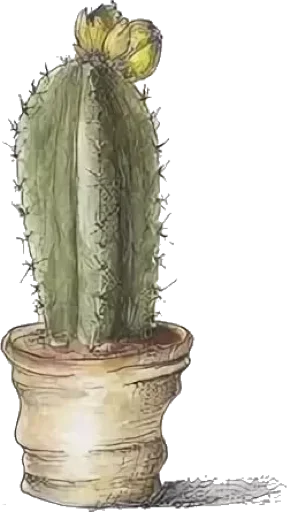 Green Cactus emoji 🥳