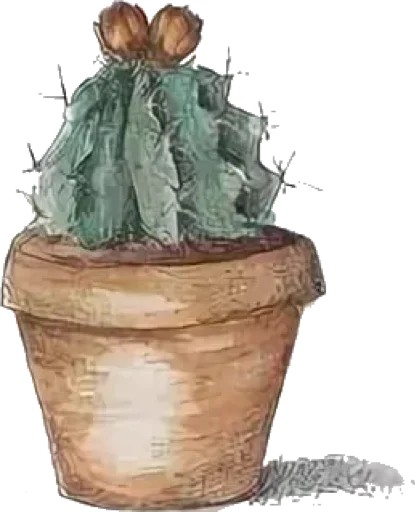 Эмодзи Green Cactus 😕