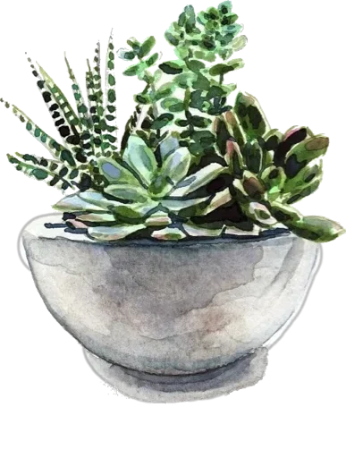 Эмодзи Green Cactus 😚