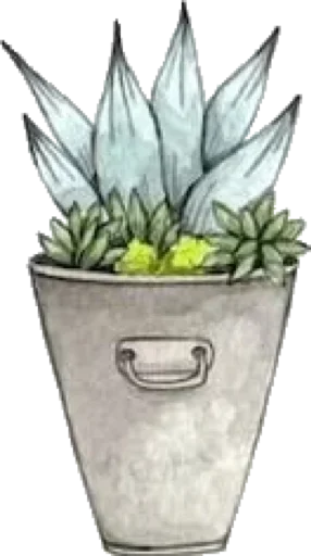 Эмодзи Green Cactus 😜