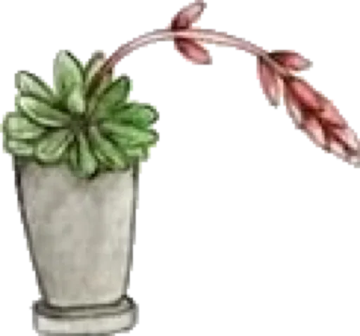 Эмодзи Green Cactus 🤪