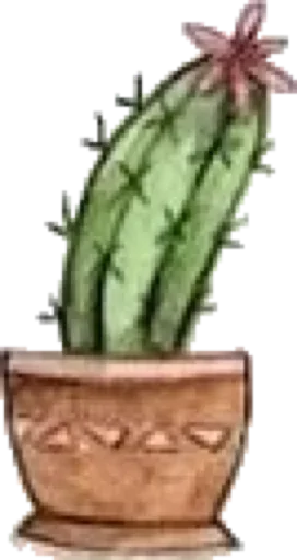 Эмодзи Green Cactus 😜