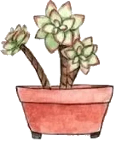 Эмодзи Green Cactus 😏