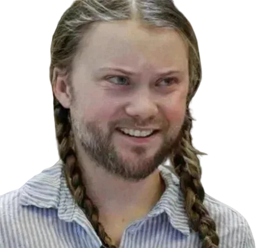 Greta Thunberg sticker 😖
