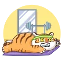 Grumpy Tiger emoji 🤪