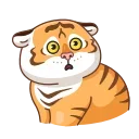 Grumpy Tiger emoji 😉