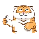 Grumpy Tiger emoji 👍