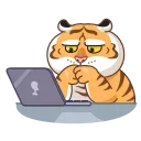 Grumpy Tiger emoji 👨‍💻
