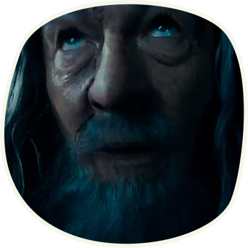 ⭕️ Gandalf (first movie)  emoji 🙄