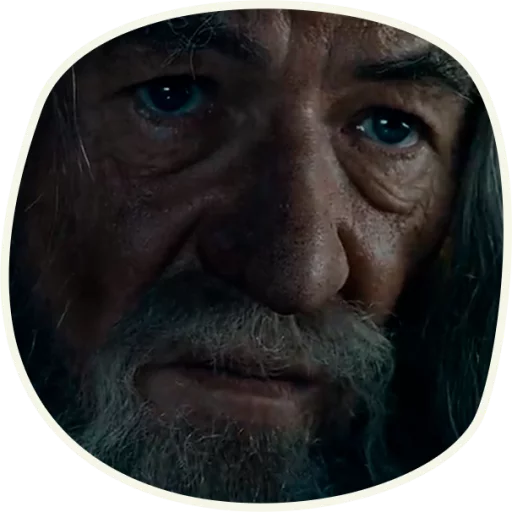 ⭕️ Gandalf (first movie)  emoji 😡