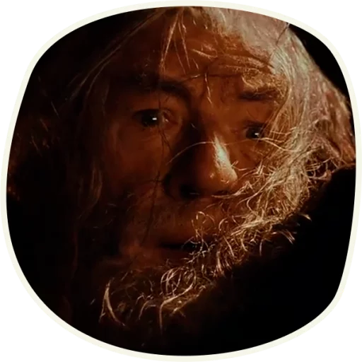⭕️ Gandalf (first movie)  emoji 😭