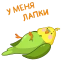 Зелёный Птенчик emoji 🐾