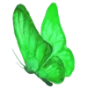 Емодзі Telegram «green fei» 🦋