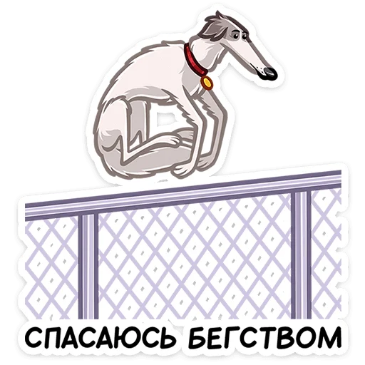Telegram stiker «Грэй» 🏃‍♀