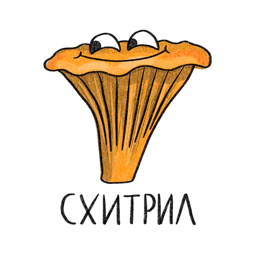 Рязанские грибы stiker 🙃