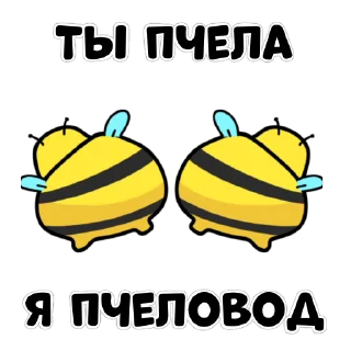 Сучьи пчелы stiker 🐝