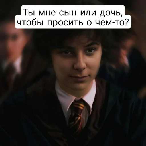 Гарри Поттер и Проклятое Дитя sticker 🤨