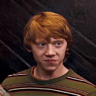 Harry Potter  sticker 🥴