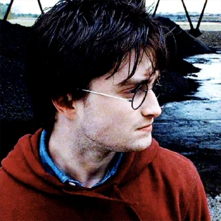 Harry Potter sticker 🥴