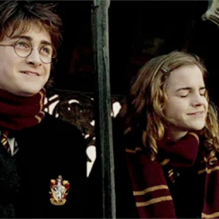 Harry Potter sticker 😀