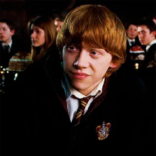 Harry Potter stiker 😀