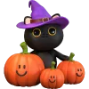 3Д Хеллоуин  emoji 🐈