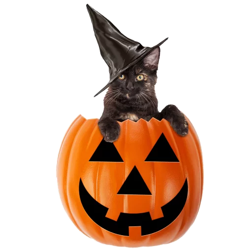 Halloween  sticker 😃