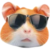 Hamster kombat emoji 😎