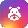 Hamster kombat emoji 🎁