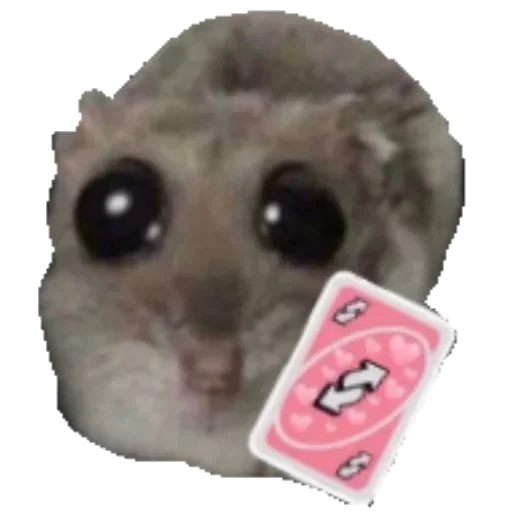 Telegram Sticker «Hamster» 🃏