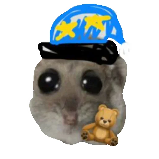 Telegram Sticker «Hamster» 🛌