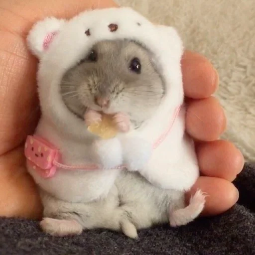 Hamster Kiana emoji 🐹