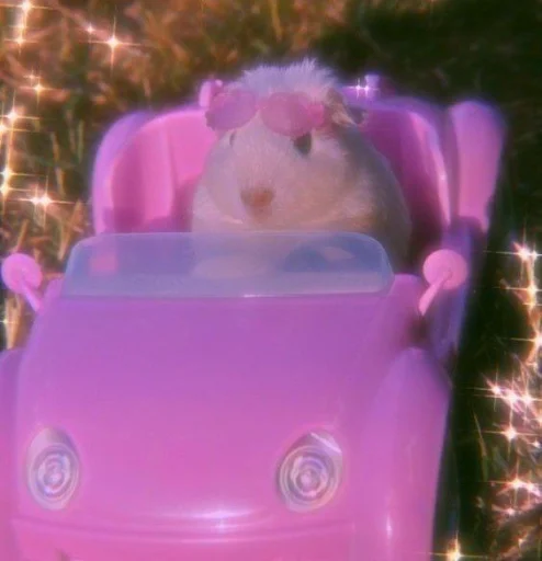 Hamster Kiana emoji 🐹