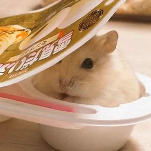 Hamsters sticker 🫠