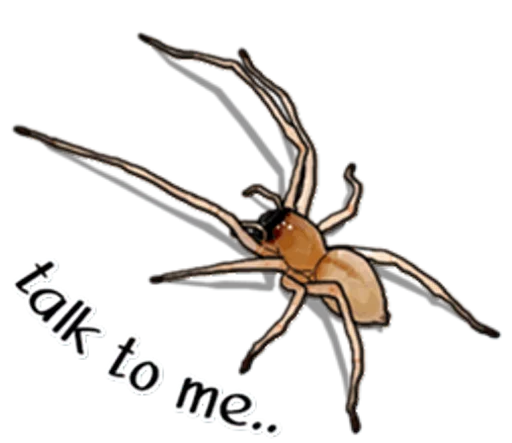 Эмодзи Handsome Spider 💭