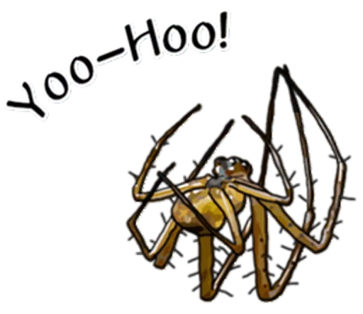 Telegram stiker «Handsome Spider» ✋