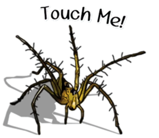 Эмодзи Handsome Spider 🤚