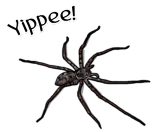 Telegram Sticker «Handsome Spider» 😊