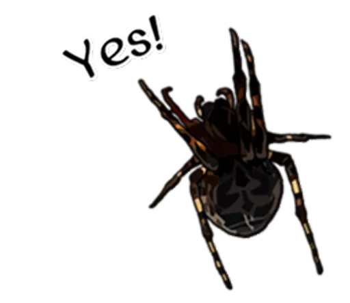 Эмодзи Handsome Spider 👍