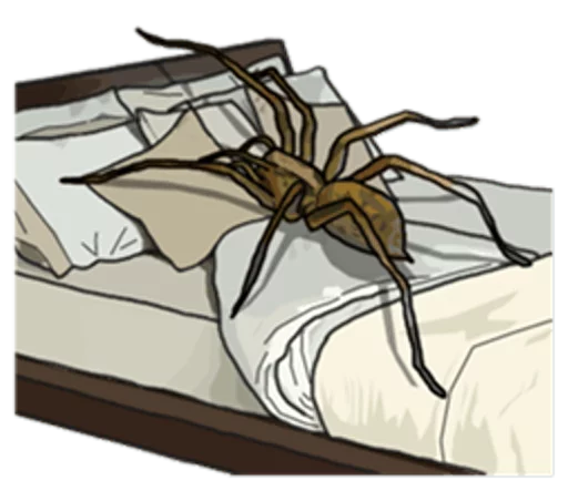 Telegram Sticker «Handsome Spider» 😴