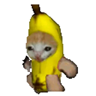 Стікер Happy Mao (Banana cat) 🐈