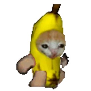 Стикер Happy Mao (Banana cat) 🐈