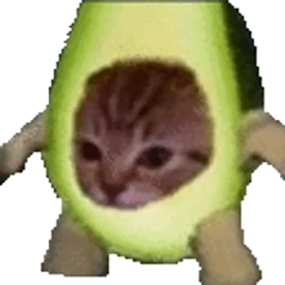 Happy Mao (Banana cat) stiker 🐈