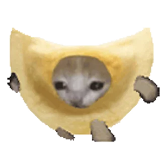 Стікер Happy Mao (Banana cat) 🐈