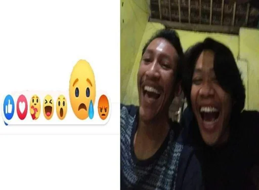 Happy Onee 1 emoji 😭