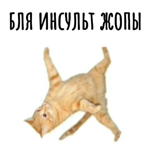 Telegram stiker «Memes» 🤑