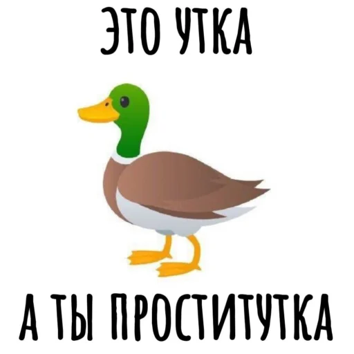 Telegram stiker «Memes» 🥰